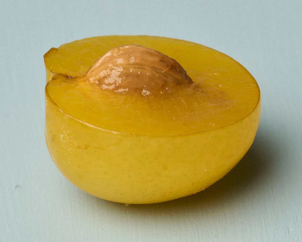 Nanko Ume (Ume Plum)