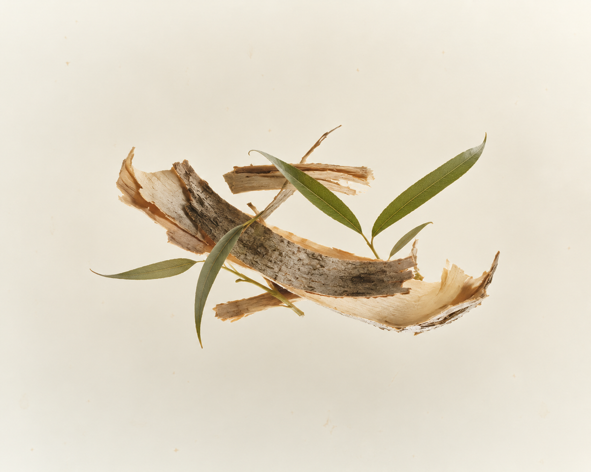 Willow Bark