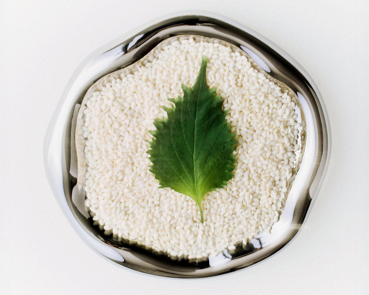 Shiso (Perilla)