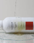 CLASSIC SHAMPOO - Shiso - DAMDAM